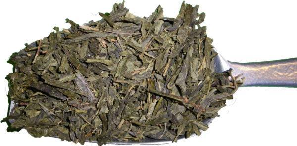 China Sencha Teekessel Niebüll