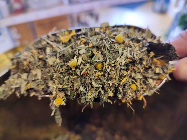 Kräutertee Blase- und Nieren-Tee