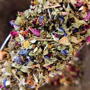Friesische Heckenrose - Kräutertee