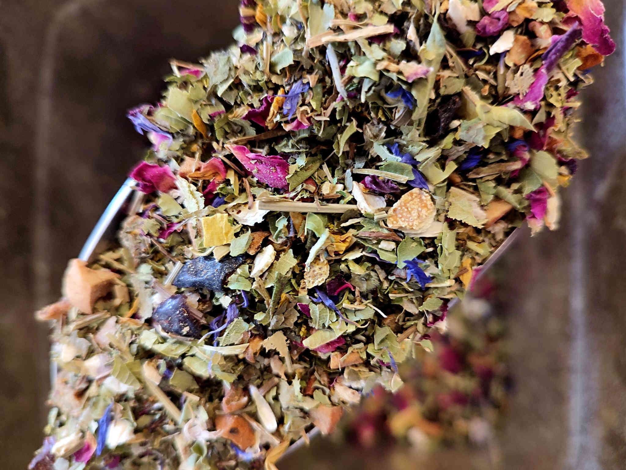 Friesische Heckenrose - Kräutertee
